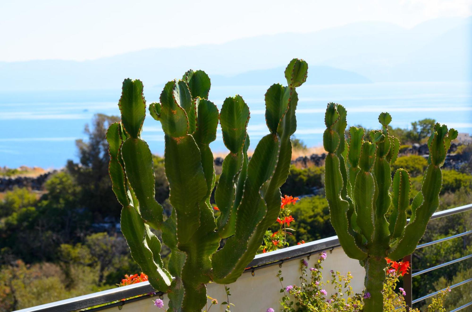 Anemos Elounda Villas ภายนอก รูปภาพ